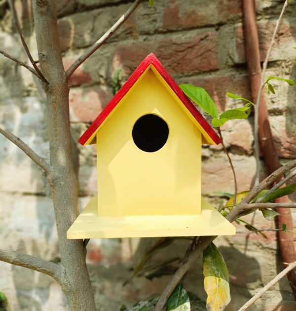 KV Crafts Wooden Birds House Nest for Balcony and Garden Hanging